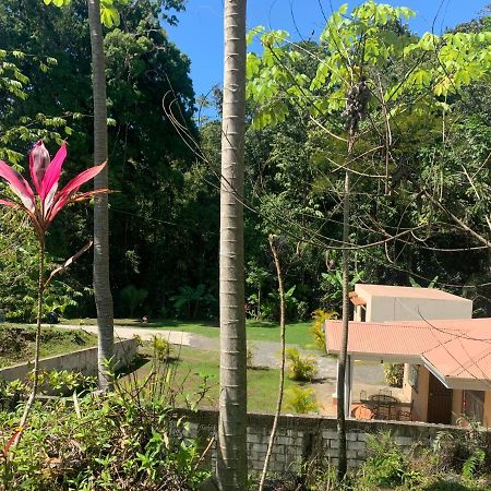 Alma Del Bosque Vacation Home And Apartments Quepos Exteriör bild