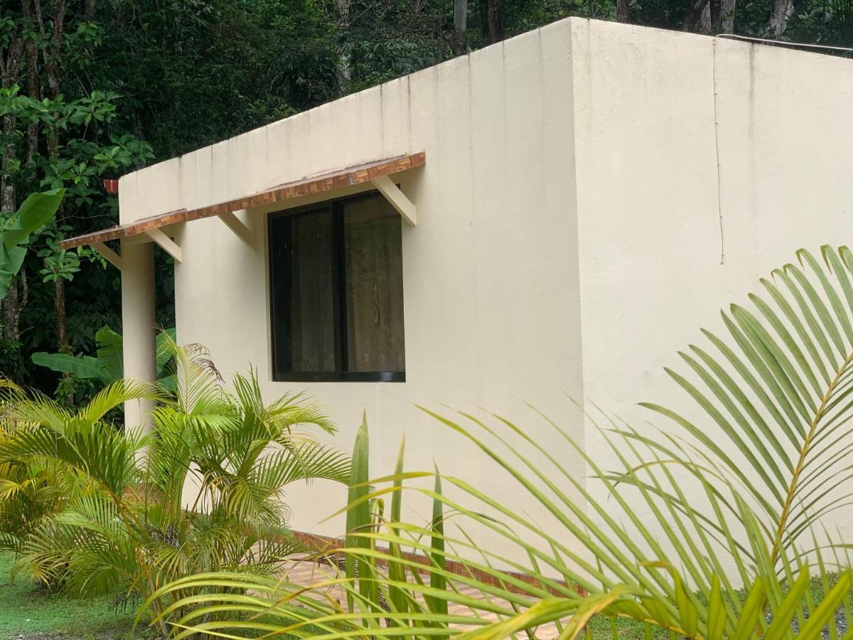 Alma Del Bosque Vacation Home And Apartments Quepos Exteriör bild
