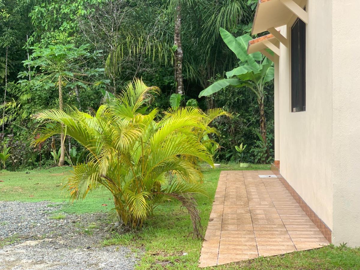Alma Del Bosque Vacation Home And Apartments Quepos Exteriör bild
