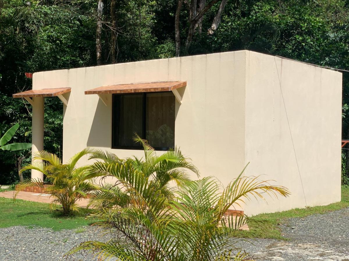 Alma Del Bosque Vacation Home And Apartments Quepos Exteriör bild