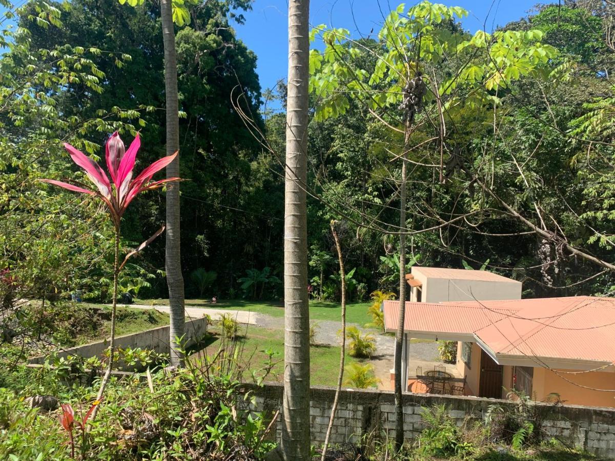 Alma Del Bosque Vacation Home And Apartments Quepos Exteriör bild